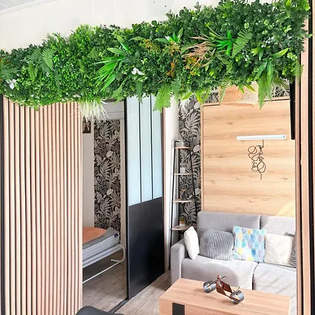شقة Rez De Jardin St Cyprien Posez Vos Valises Chez Nous